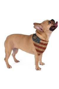 Patriot Dog Lovers Gift, Stylish Dog Bandana, Canine Fashion